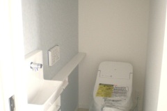 IMGP0011